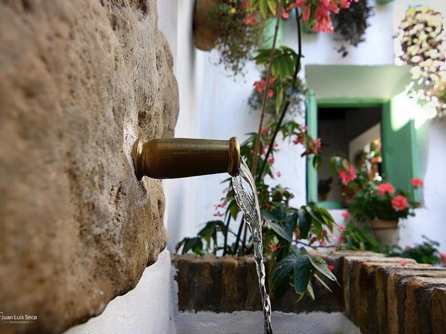 La Casa De La Costurera Cordoue